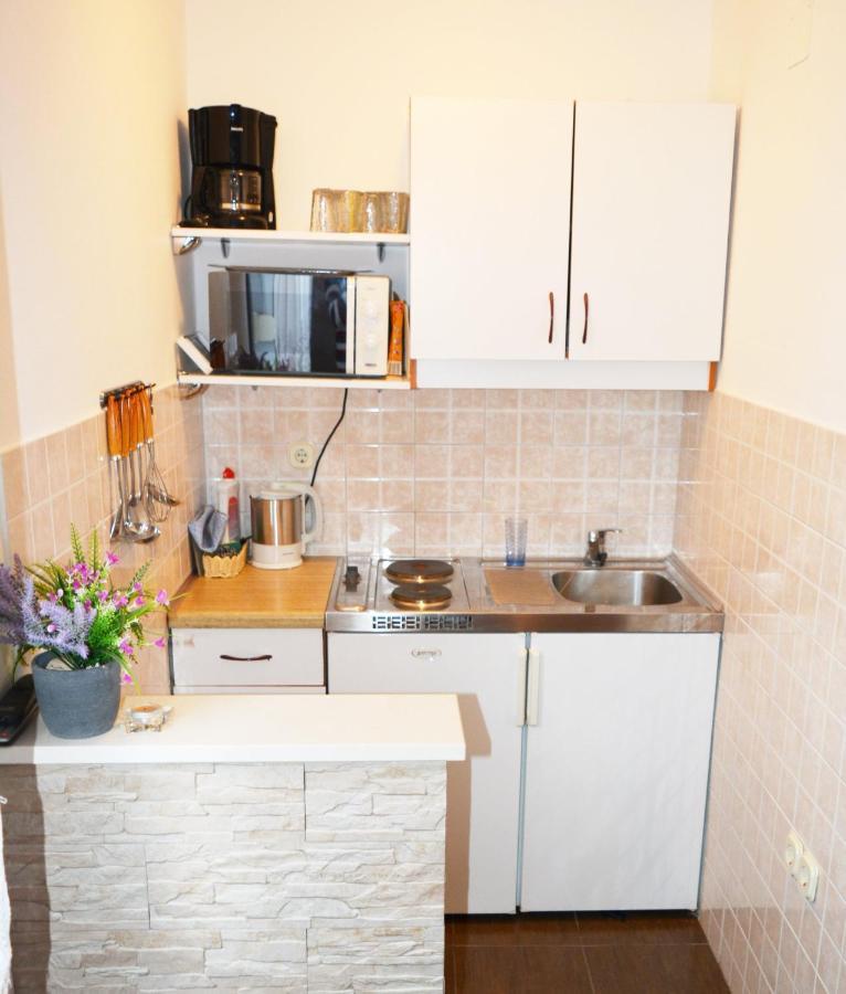 Cosic Apartmani איגריין מראה חיצוני תמונה